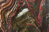 Tiger Iron Stromatolite Section - Billion Years #354886-2